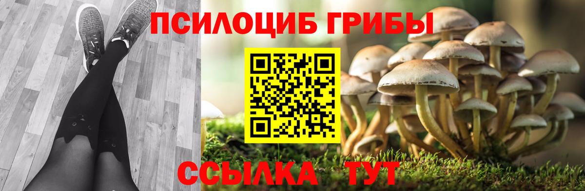 Тобольск  Галлюциногенные грибы ЛСД  Вход с VPN 